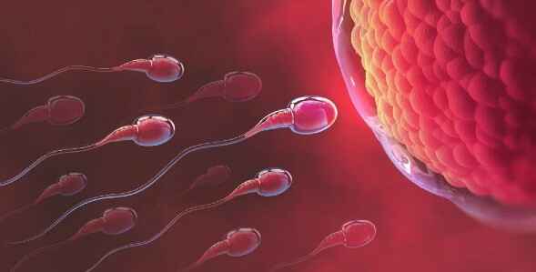 Infertility Treatments